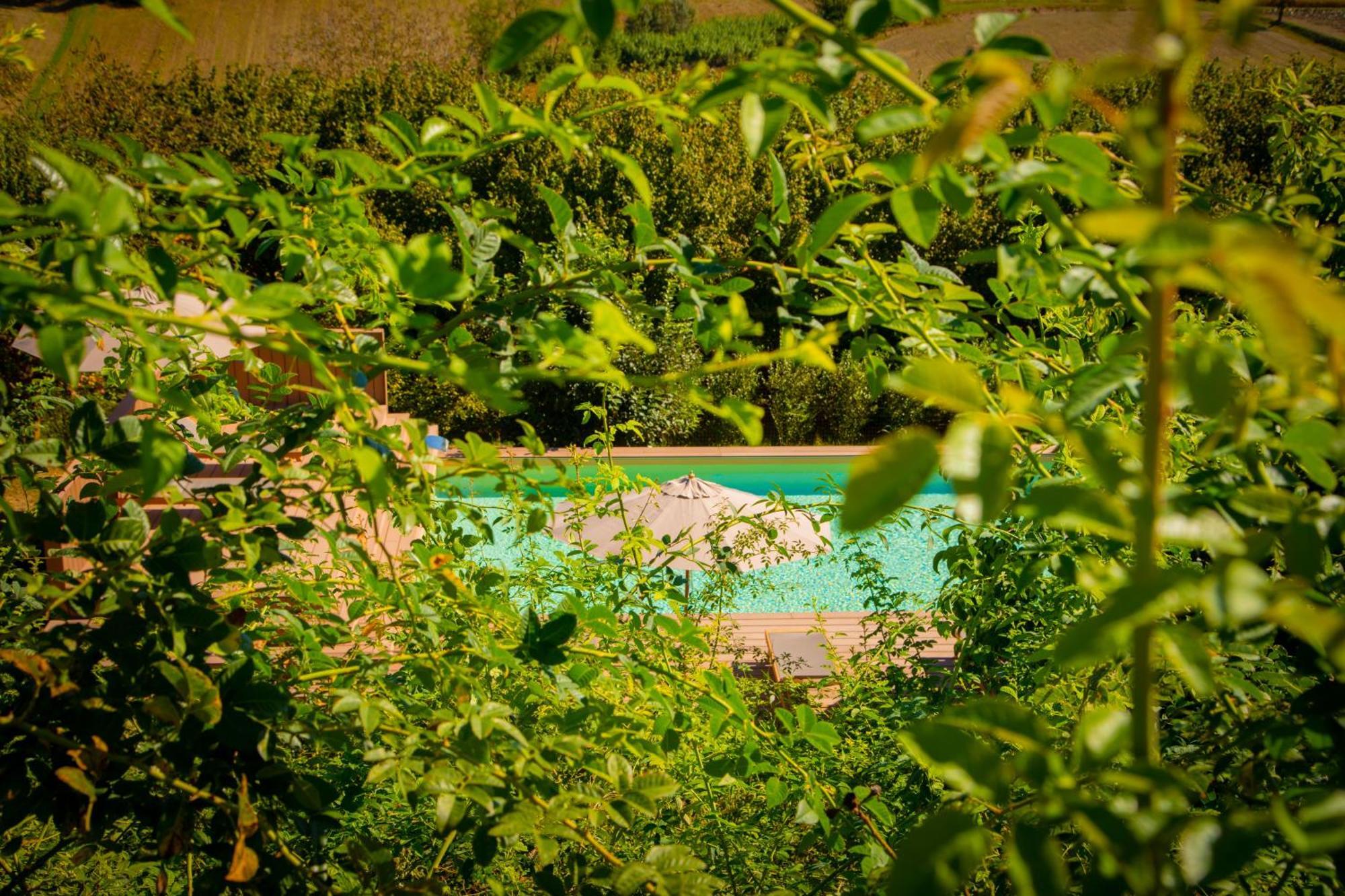 Pampucet Bed & Breakfast Colcavagno Dış mekan fotoğraf